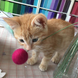 Cat Toys-- catnip laced felt balls